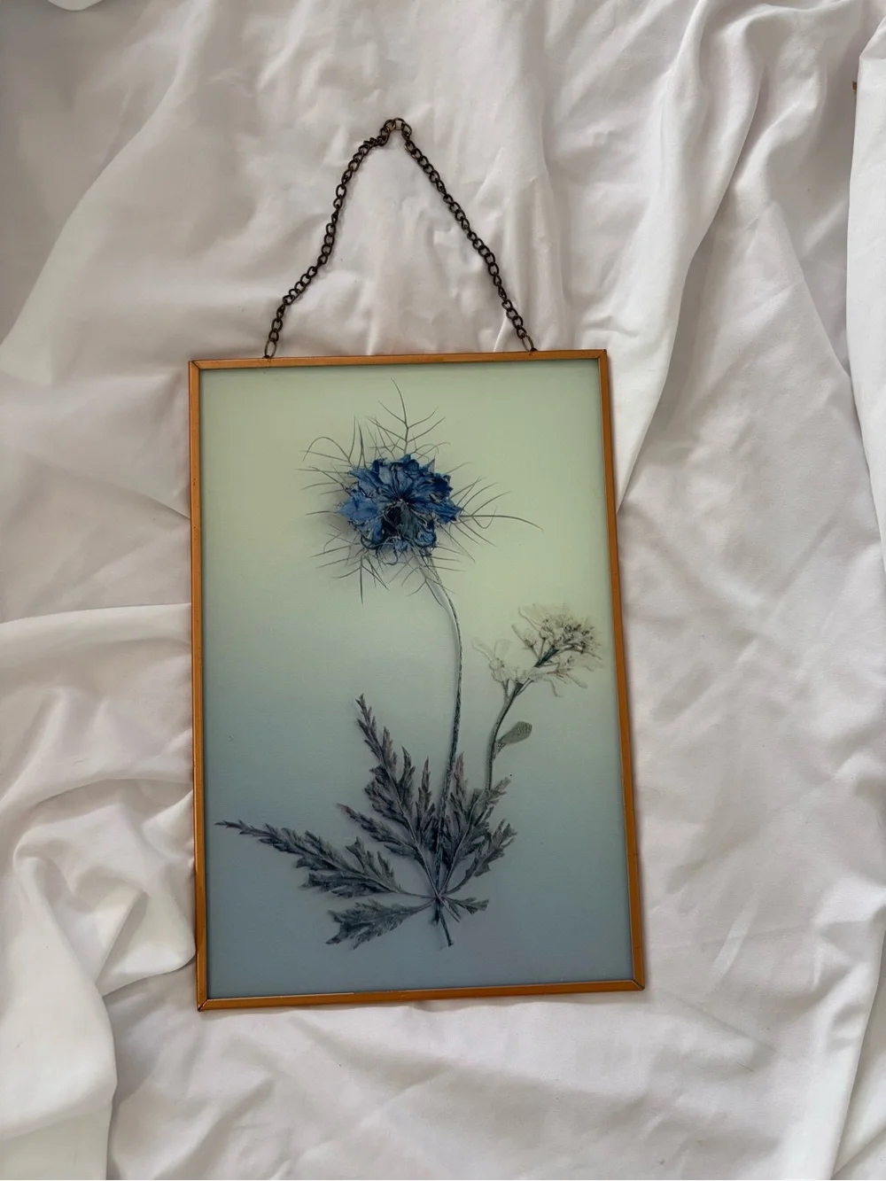 Anthropologie pressed flower wildflower wall hanging art home decor copper fairy